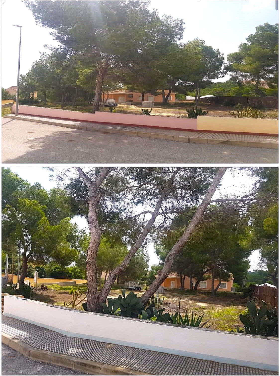 6029e402-e196-4d59-80d7-556518304534 PLOT of 1100 m 2 in ALGORFA Urbanization