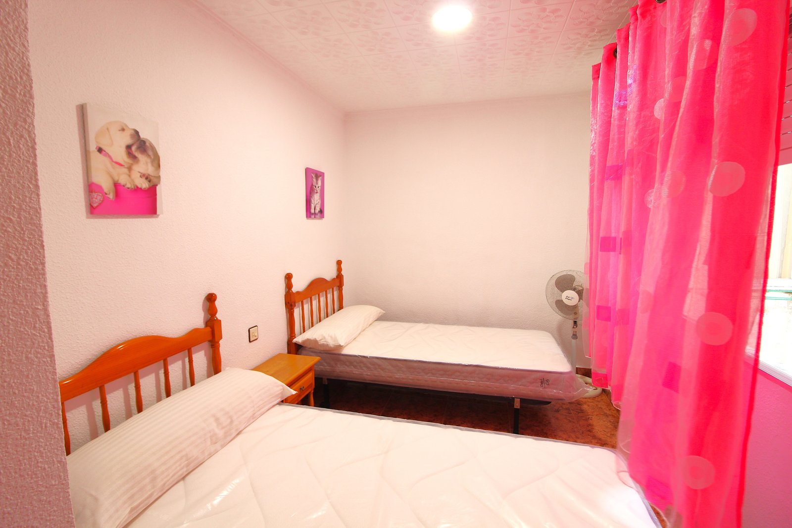 Very spacious Apartment by the sea