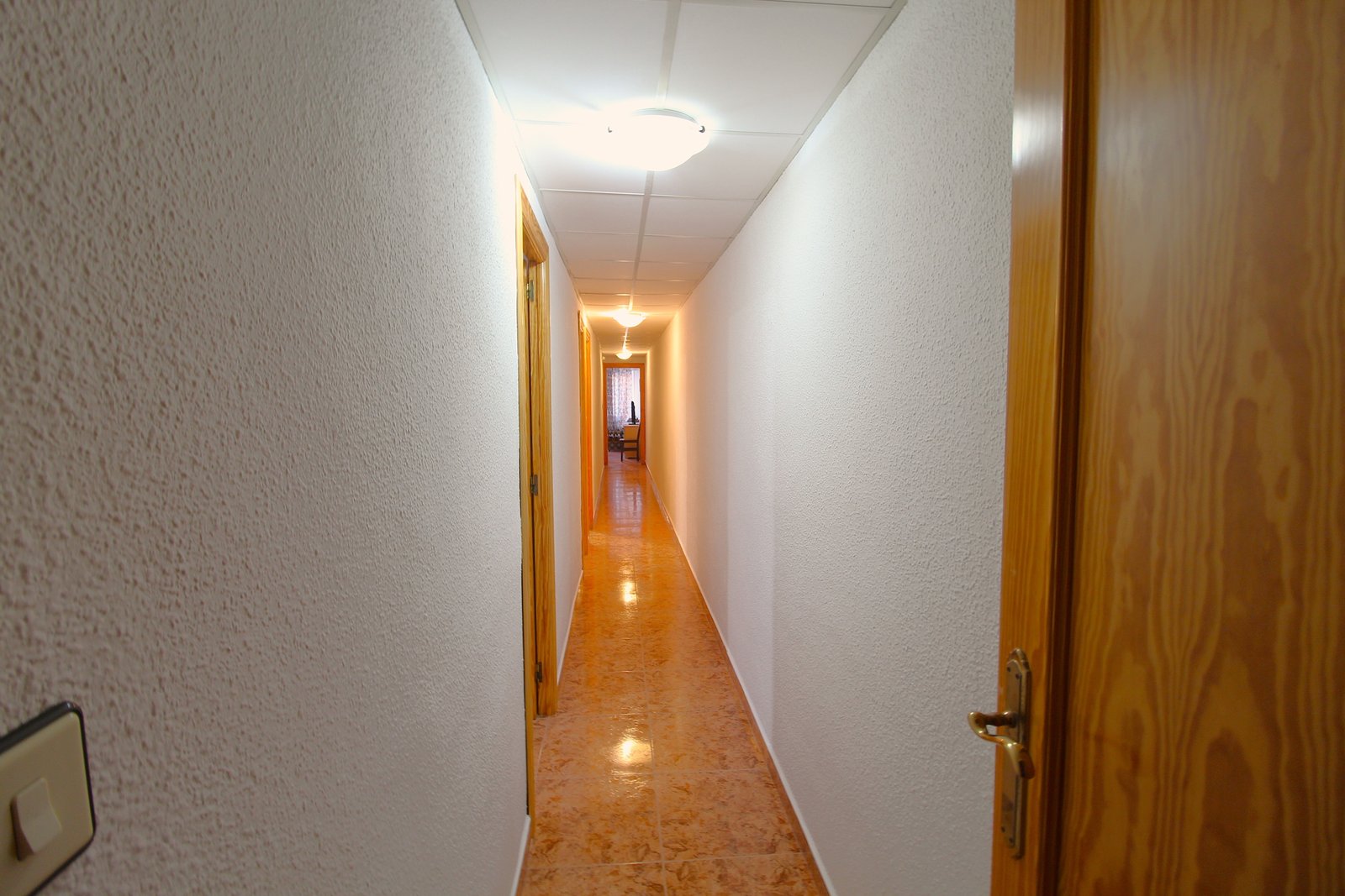 Very spacious Apartment by the sea