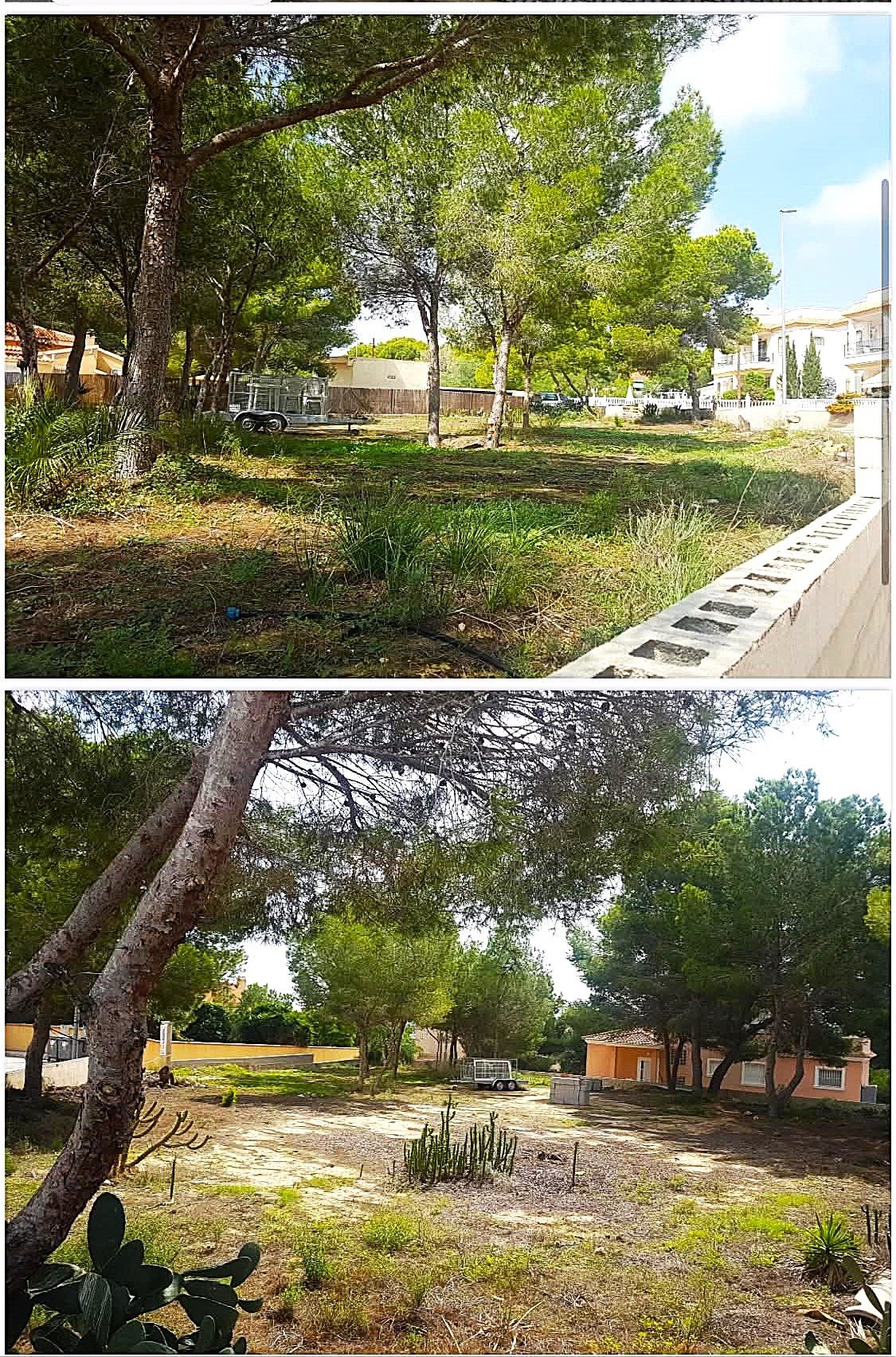 c02e9bdc-043e-409c-a322-1b19d382a456 PLOT of 1100 m 2 in ALGORFA Urbanization