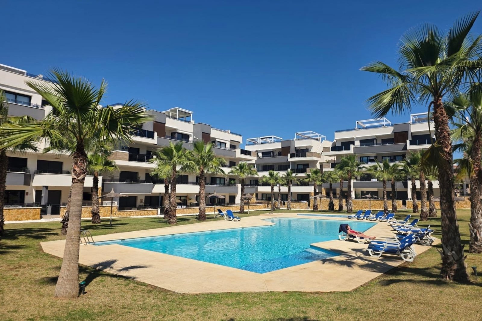 Modern Luxury Apartment in Los Altos,